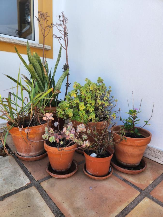 Quinta Das Amendoas Carvoeiro  Esterno foto