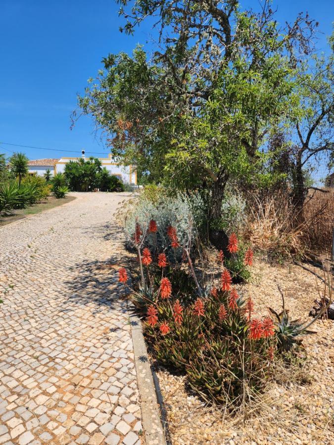 Quinta Das Amendoas Carvoeiro  Esterno foto